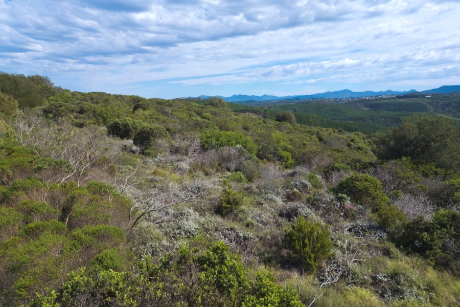 Commercial Property for Sale in Pezula Private Estate Western Cape